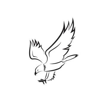 Vector of an eagle design on white background. Bird. Wild Animals. Easy editable layered vector illustration.