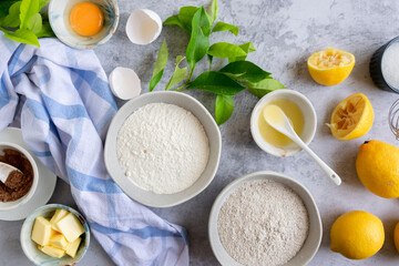 Obraz na płótnie Canvas Ingredients for making traditional homemade lemon cake, fresh summer baking items