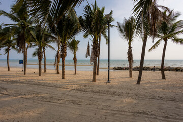 Coconut tree on Bangsaen beach in the evening time. Very few people because of the Covid-19 situation. - obrazy, fototapety, plakaty