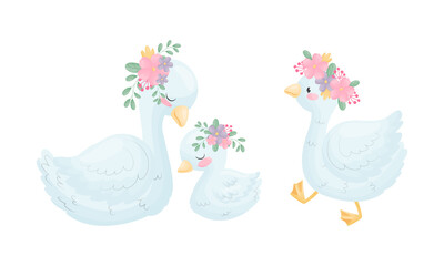 Beautiful White Swan or Goose with Floral Arrangement Vector Set