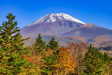 秋の富士山 静岡県裾野市富士山スカイラインの水ケ塚にて