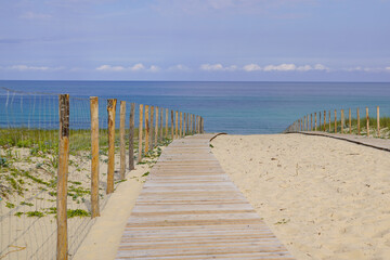 Fototapeta na wymiar wooden path access in sand dune beach at Cap-Ferret ocean atlantic arcachon in gironde france