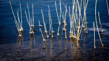 Gel sur le lac de Marcenay, bourgogne