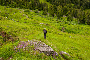 Grindelwald, Bussalp, Wanderweg, Wanderer, Bort, First, Alpen, Bergwiesen, Wald, Waldweg, Berner...