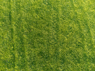 Luftaufnahme eines Rasen im Sommer
