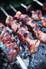 Barbecue, cooking meat on fire, cooking, homemade, meat, relaxing and cooking.