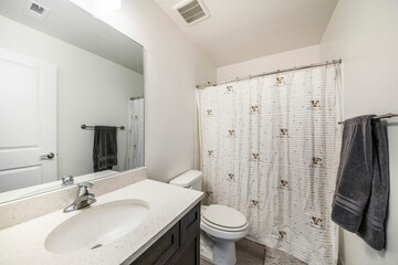 Bathroom interior with closed shower curtain with printed puppy design