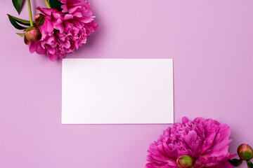Minimal Styled Flat lay with Pink Peony flowers and white blank Mock up top view Horizontal