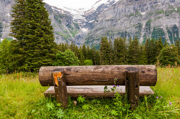 Grindelwald, Wetterhorn, Holzbank, Oberer Grindelwaldgletscher, Bort, First, Bussalp, Bergwiese,...