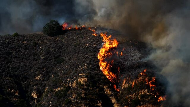 Saddleranch Fire Blaze California Wildfire Los Angeles