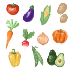 野菜の手描きイラストセット
