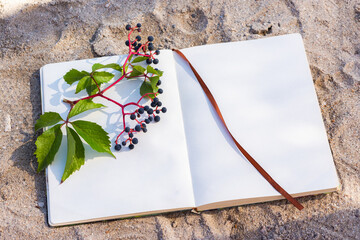 Notepad sun glare grapes. Summer minimalistic composition on the beach. Top view of a flat layout...
