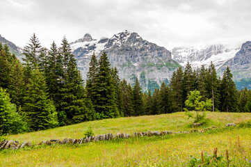 Grindelwald, Schreckhorn, unterer Grindelwaldgletscher, Eiger, Eigernordwand, Pfingstegg, Bort,...