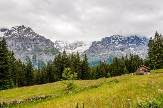 Grindelwald, Schreckhorn, unterer Grindelwaldgletscher, Eiger, Eigernordwand, Pfingstegg, Holzhaus, Bort, First, Bussalp, Bergwiese, Wanderweg, Alpen, Berner Oberland, Sommer, Schweiz