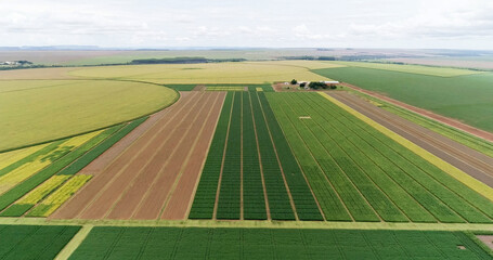 Aerial flying over fields with straw bales at harvesting time. Soybean, sunflowers and maize or...