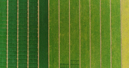 Aerial flying over fields with straw bales at harvesting time. Soybean, sunflowers and maize or corn. - obrazy, fototapety, plakaty