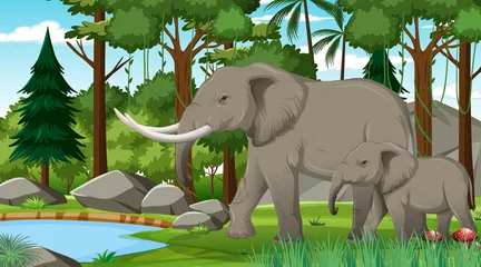 Wandaufkleber Elephant mom and baby in forest or rainforest scene with many trees © blueringmedia