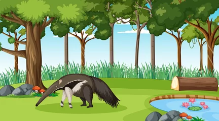 Meubelstickers An anteater in forest scene with many trees © blueringmedia