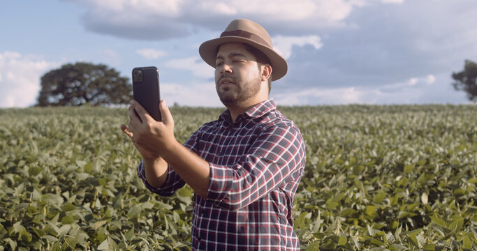 Farmer taking pictures of soybean plantation. Quality control. Agronomist's work. Brazilian Farm.