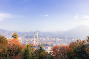 ミューズパークから望む秩父市街地