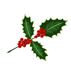 holly leaves, berries, set color2 dd ww