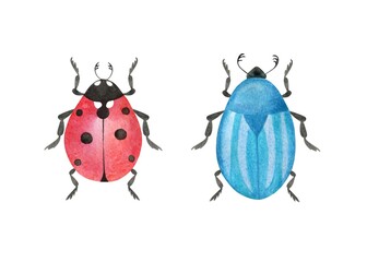 Hand-drawn ladybird and blue striped beetle isolated on a white background. Watercolor insects illustration. Two cute bugs set