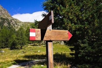 An empty wooden signpost for mountain trails in the Italian Alps (Trentino, Italy, Europe)