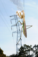 怪獣　妄想風景　kaiju tokyo