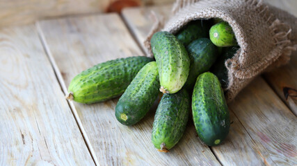 Fresh cucumbers in a bag on a wooden surface. Organic vegetables. Harvest of cucumbers.