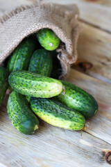 Fresh cucumbers in a bag on a wooden surface. Organic vegetables. Harvest of cucumbers.