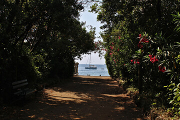 view on sea from botanic garden on island lapad croatia