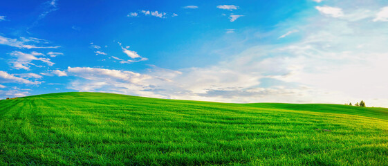 Panoramic natural landscape with green grass field and blue sky with clouds with curved horizon...