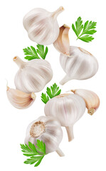 Garlic isolated on white background