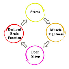 From stress to declining brain functions