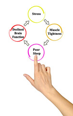 From stress to declining brain functions