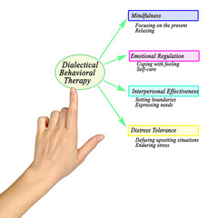  Components of Dialectical Behavioral Therapy