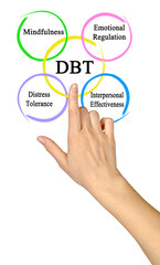  Components of Dialectical Behavioral Therapy