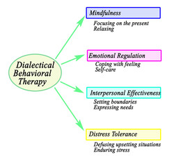  Components of Dialectical Behavioral Therapy