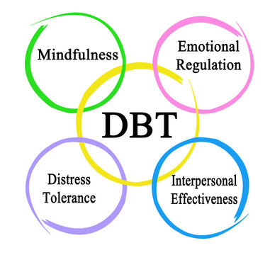  Components of Dialectical Behavioral Therapy