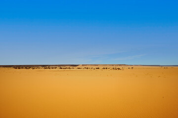 Mauritian Sahara desert under blue sky