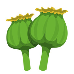 Poppy plant head vector isolated. Highly addictive drug opium concept. Narcotic flower, illegal drug. - obrazy, fototapety, plakaty
