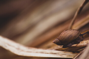 Space for text, boho, jesień, autumn © Patrycja