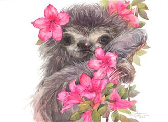 The baby sloth in pink flowers. Hand painted watercolor illustration. © Aleksandra Foster