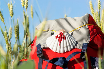 Way of St James , Camino de Santiago ,scallop shell on backpack in wheat field  to Compostela ,...