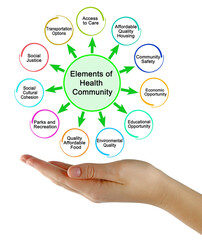  Ten Elements of Health Community