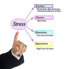 Presenting four kinds of stress