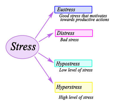 Four kinds of stress