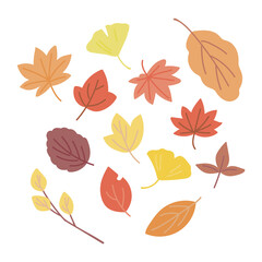 落ち葉　セット