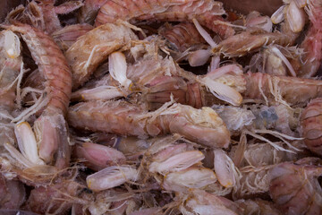 photographs of frozen seafood of all kinds and variety	