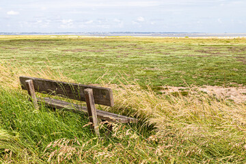 wooden bench at the edge of a field